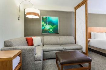 Standard Room, 1 King Bed with Sofa bed