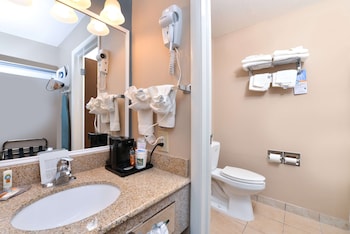 Room, 1 King Bed, Accessible, Non Smoking (Mobility, Roll-In Shower)