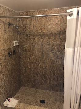 Suite, 1 Bedroom
