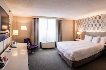 Room, 1 King Bed, Non Smoking