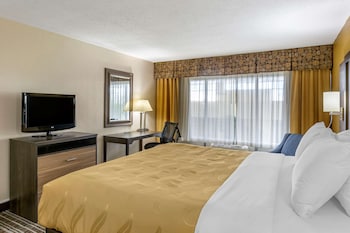 Room, 1 King Bed, Non Smoking