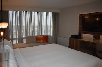 Room, 1 King Bed