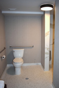 Room, 1 King Bed (Mobility/Hearing Access, Roll-In Shwr)