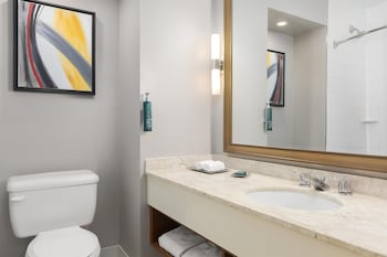 1 Dbl Mobility Accessible W/ Bathtub