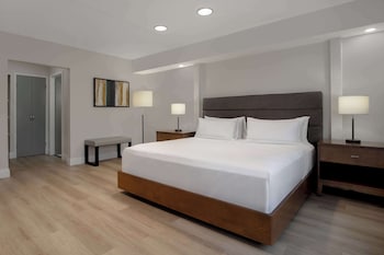 1 King Bed Suite with Living Room