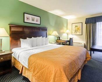 Standard Room, 1 King Bed, Smoking