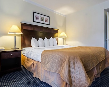 Standard Room, 1 King Bed, Non Smoking