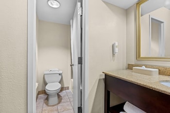Suite, 1 King Bed with Sofa bed, Non Smoking