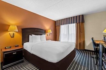Room, 1 Queen Bed, Non Smoking