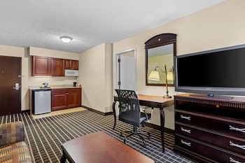 Suite, 1 King Bed with Sofa bed, Non Smoking