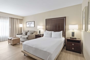 Room, 1 Double Bed, Accessible, Non Smoking