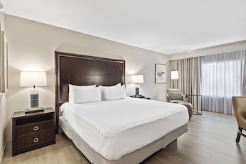 Room, 1 King Bed with Sofa bed
