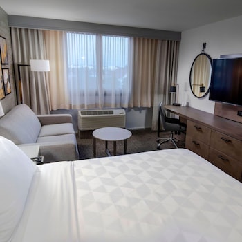 Room, 1 King Bed with Sofa bed, Accessible