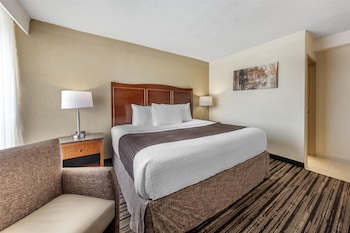 Standard Room, 1 King Bed, Non Smoking, Refrigerator & Microwave