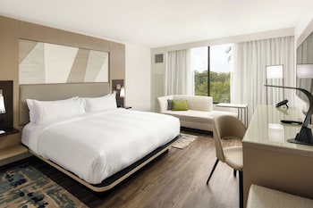 Room, 1 King Bed