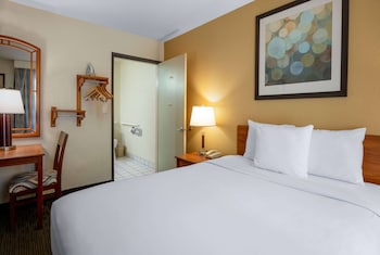 Deluxe Room, 1 Queen Bed, Mobility Accessible, Non Smoking