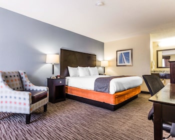 Standard Room, 1 King Bed, Non Smoking