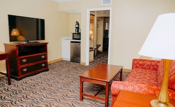Suite, 1 Bedroom