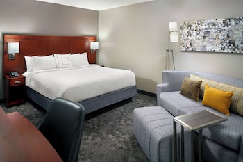 Room, 1 King Bed with Sofa bed
