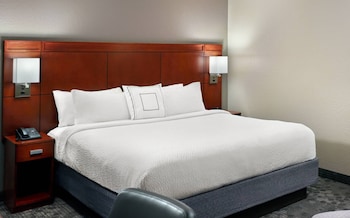 Room, 1 King Bed with Sofa bed