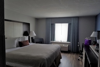 Premium Room, 1 King Bed, Non Smoking
