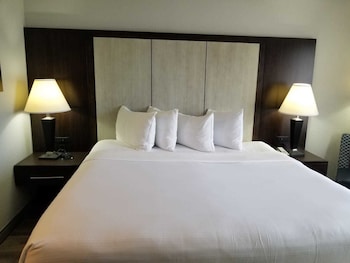 Premium Room, 1 King Bed, Non Smoking