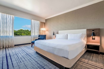 Room, 1 King Bed (Hearing)