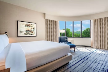 Room, 1 King Bed, Courtyard View