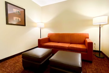 Standard Room, 1 King Bed, Non Smoking, Refrigerator (with Sofabed)