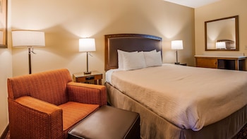 Standard Room, 1 King Bed, Non Smoking, Refrigerator (Pet Friendly)