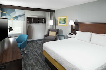 Room, 1 King Bed, Non Smoking
