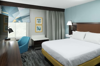 Room, 1 King Bed, Non Smoking