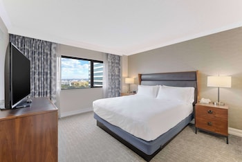 Suite, 1 King Bed, Non Smoking (Roll-in Shower)