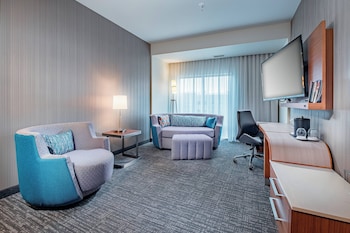 Suite, 1 King Bed with Sofa bed