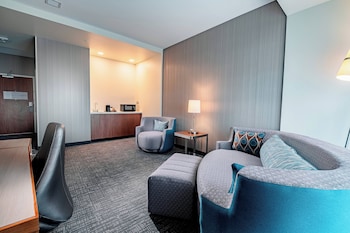 Suite, 1 King Bed with Sofa bed