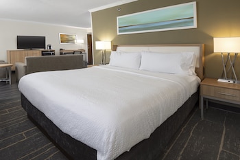 Standard Room, 1 King Bed with Sofa bed, Refrigerator