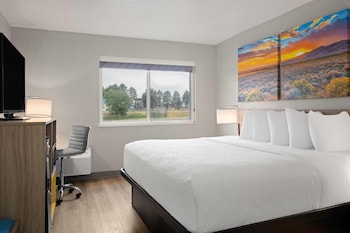 Room, 1 King Bed, Non Smoking (Pet Friendly)