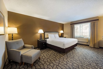 Standard Room, 1 King Bed, Accessible, Refrigerator & Microwave