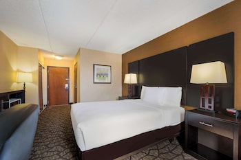 Standard Room, 1 Double Bed, Accessible, Refrigerator & Microwave
