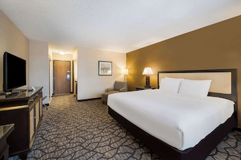 Standard Room, 1 King Bed, Accessible, Refrigerator & Microwave