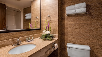 Standard Room, 1 King Bed, Non Smoking, Refrigerator & Microwave (Larger Room)