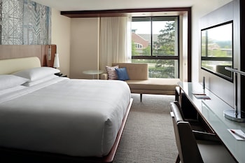 Room, 1 King Bed