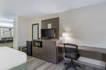 Suite, 1 King Bed with Sofa bed, Non Smoking, Kitchen (with Sofabed)