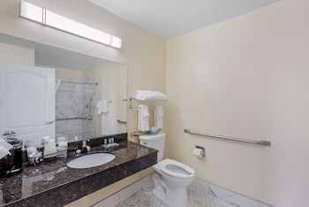 Standard Room, 1 King Bed, Accessible, Non Smoking