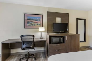 Standard Room, 1 King Bed, Accessible, Non Smoking