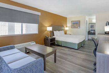 Suite, 1 King Bed with Sofa bed, Non Smoking, Kitchen (with Sofabed)