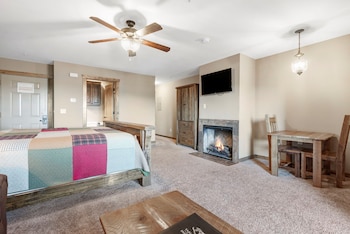 Studio Lake View Condo - Walk-In Level - 1206