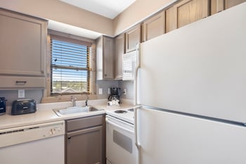 Studio Condo - Terrace Level - 1503A