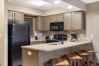 1-BD Lake View Condo - Walk-In Level - 1508