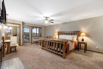 Studio Lake View Condo - Walk-In Level - 1508